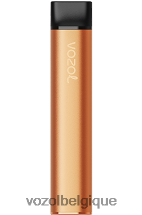 VOZOL SWITCH- 600 64P2226 glace à la mangue VOZOL vape avis