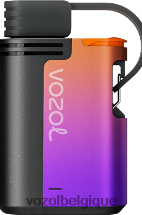 VOZOL GEAR- 4000c/6000 64P2324 tempête de baies forestières VOZOL vape
