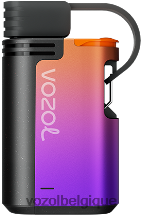 VOZOL GEAR- 4000c/6000 64P2325 glace aux raisins VOZOL rechargeable