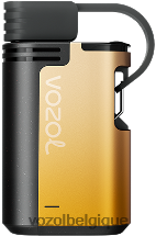 VOZOL GEAR- 4000c/6000 64P2327 mangue fruit de la passion VOZOL vape store