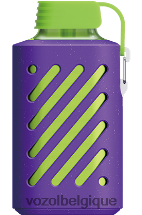 VOZOL GEAR- 10000 64P2292 glace aux raisins VOZOL bruxelles