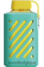 VOZOL GEAR- 10000 64P2298 menthe de Miami VOZOL vape shop