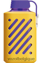VOZOL GEAR- 10000 64P2299 Baies mélangées VOZOL vape sale