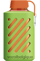VOZOL GEAR- 10000 64P2310 fraise-kiwi VOZOL review