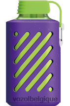 VOZOL GEAR- 10000 64P2315 glace aux myrtilles VOZOL rechargeable