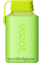 VOZOL GEAR- 600 64P2345 pêche aux pommes VOZOL rechargeable