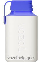 VOZOL GEAR- 600 64P2346 citron bleu razz VOZOL vape avis