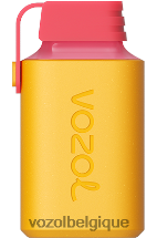 VOZOL GEAR- 600 64P2347 cerise pêche citron VOZOL vape store