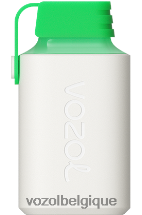VOZOL GEAR- 600 64P2352 mojito au citron VOZOL bruxelles