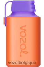 VOZOL GEAR- 600 64P2353 litchi goyave pastèque VOZOL vape belgique