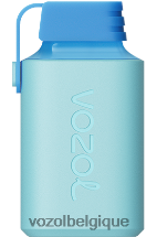 VOZOL GEAR- 600 64P2356 bonbons arc-en-ciel VOZOL vape avis