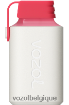 VOZOL GEAR- 600 64P2357 glace à la fraise VOZOL vape store