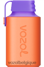 VOZOL GEAR- 600 64P2360 glace aux mûres VOZOL review