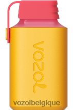 VOZOL GEAR- 600 64P2363 citron vert VOZOL vape belgique