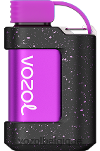 VOZOL GEAR- 7000 64P2333 tempête de baies forestières VOZOL vape belgique
