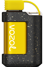 VOZOL GEAR- 7000 64P2337 glace à la pêche VOZOL vape store