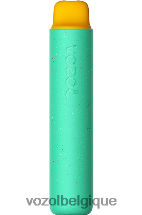 VOZOL STAR- 2000 64P2155 ours gommeux VOZOL rechargeable