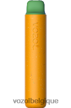 VOZOL STAR- 2000 64P2156 oiseau de la jungle VOZOL vape avis