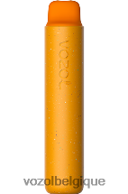 VOZOL STAR- 2000 64P2157 kiwi goyave fruit de la passion VOZOL vape store