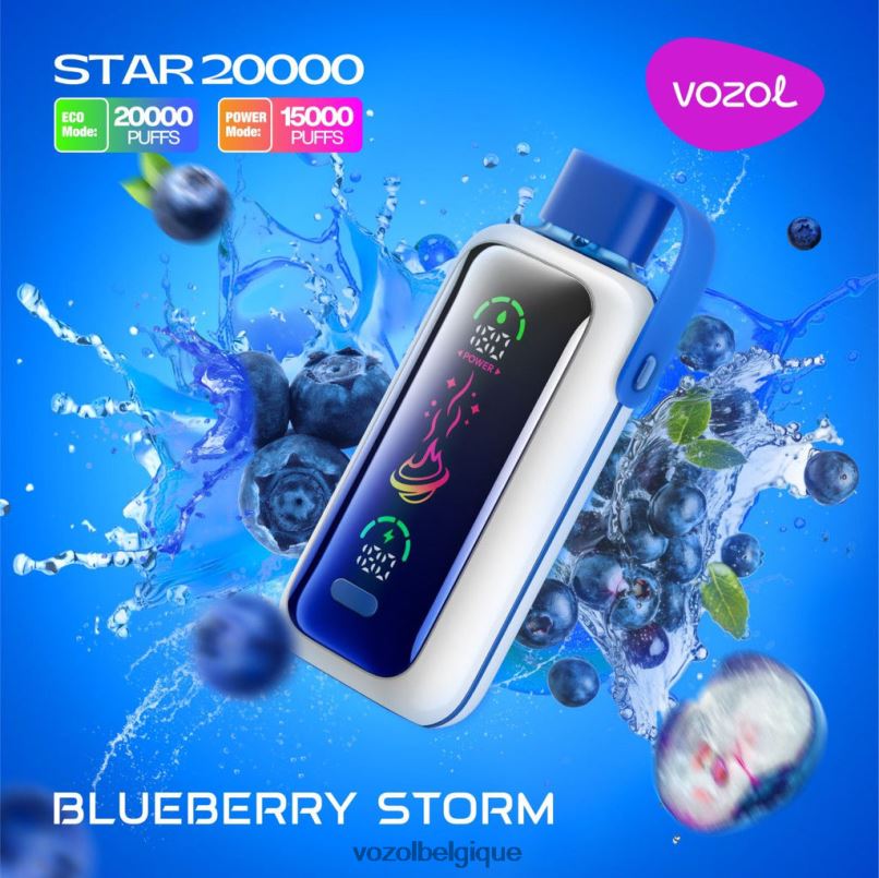 Vozol Rechargeable - VOZOL STAR 20000 tempête de bleuets 6D6DJ5