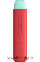 VOZOL STAR- 550 64P2138 pêche aux pommes VOZOL vape shop