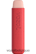 VOZOL STAR- 550 64P2145 glace à la fraise VOZOL rechargeable