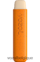 VOZOL STAR- 550 64P2146 mangue fraise VOZOL vape avis