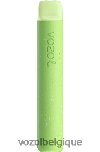 VOZOL STAR- 600 64P2100 bubble-gum à la pastèque VOZOL review