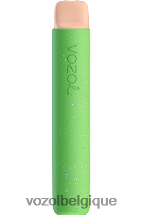 VOZOL STAR- 600 64P2101 glace à la pastèque VOZOL belgique