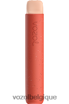 VOZOL STAR- 600 64P271 pêche aux pommes VOZOL belgique
