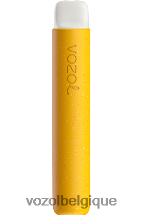 VOZOL STAR- 600 64P272 glace à la banane VOZOL bruxelles