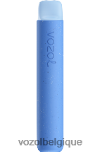 VOZOL STAR- 600 64P275 myrtille, framboise aigre VOZOL rechargeable