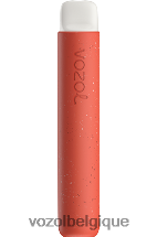 VOZOL STAR- 600 64P278 glace au citron et aux canneberges VOZOL vape shop