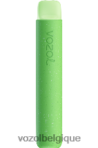 VOZOL STAR- 600 64P279 tempête de baies forestières VOZOL vape sale