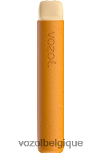 VOZOL STAR- 600 64P282 mangue glacée VOZOL bruxelles