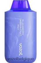 VOZOL STAR- 6000/8000v2 64P252 lait de mûre et de fruit de la passion VOZOL bruxelles