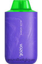 VOZOL STAR- 6000/8000v2 64P254 raisin d'aloès VOZOL vape