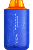 VOZOL STAR- 6000/8000v2 64P256 myrtille, framboise aigre VOZOL vape avis