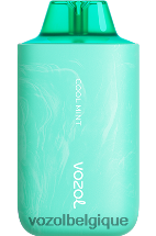 VOZOL STAR- 6000/8000v2 64P257 menthe fraîche VOZOL vape store