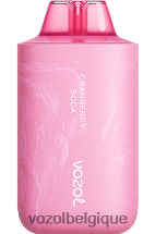 VOZOL STAR- 6000/8000v2 64P258 soda aux canneberges VOZOL vape shop
