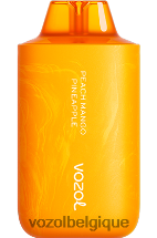 pêche mangue ananas