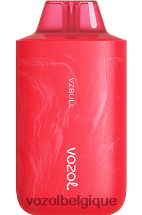 vzbull