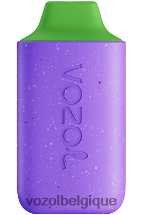 VOZOL STAR- 6000 64P2103 raisin d'aloès VOZOL vape belgique