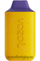 VOZOL STAR- 6000 64P2105 lait de mûre et de fruit de la passion VOZOL rechargeable
