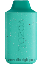 VOZOL STAR- 6000 64P2110 menthe fraîche VOZOL review