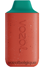 VOZOL STAR- 6000 64P2111 pastèque fruit du dragon VOZOL belgique
