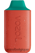 VOZOL STAR- 6000 64P2117 litchi goyave pastèque VOZOL vape store
