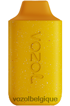 VOZOL STAR- 6000 64P2119 mangue pêche ananas VOZOL vape sale