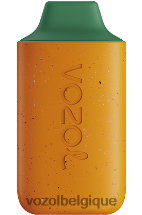 VOZOL STAR- 6000 64P2120 mangue pêche pastèque VOZOL review
