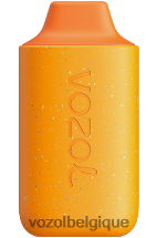 VOZOL STAR- 6000 64P2122 ananas orangepêche VOZOL bruxelles
